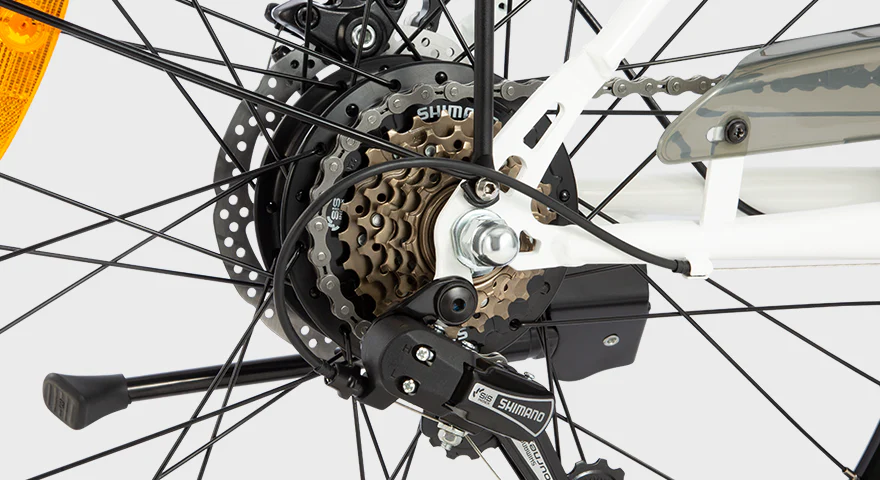 DYU C6 - Image 2