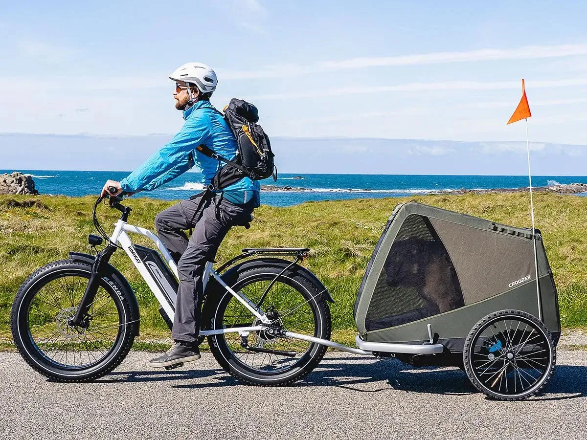 HIMIWAY CRUISER STEP-THRU (D3) - Image 2