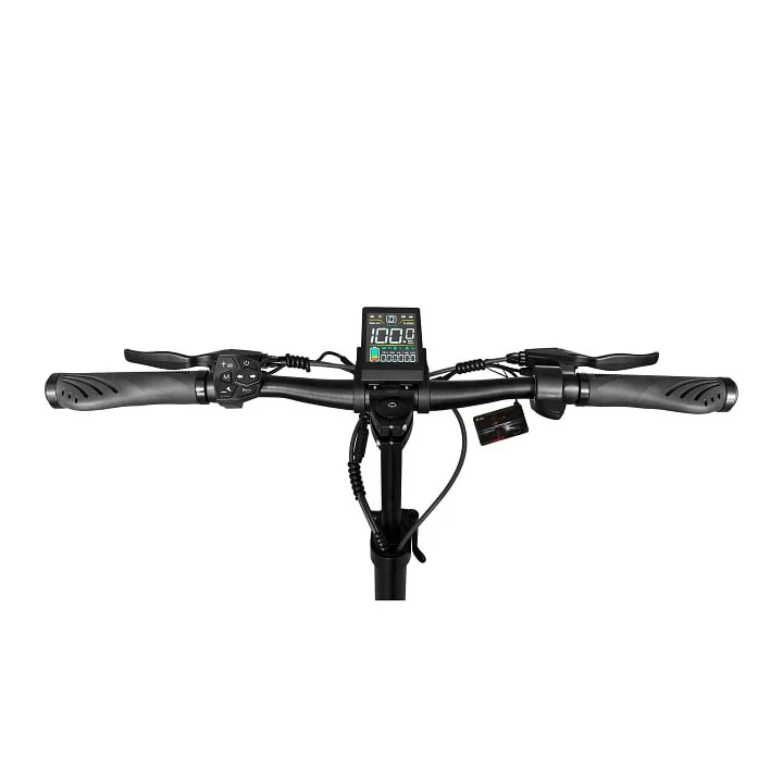 T10 - Image 2